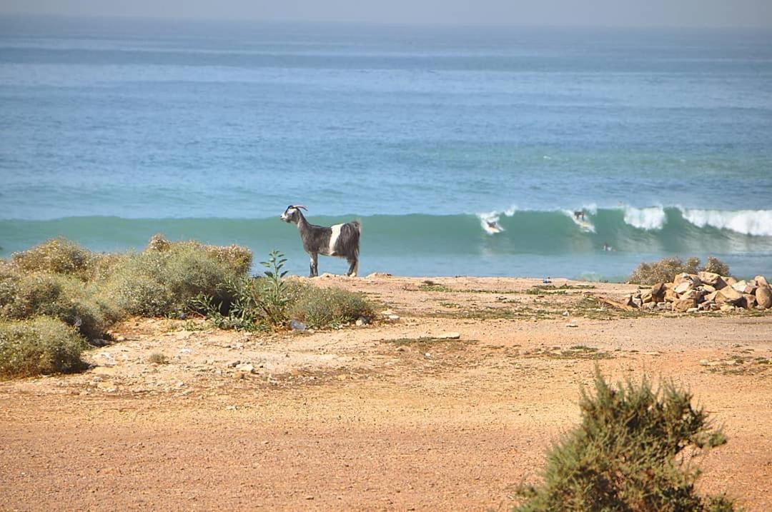Hotel Manzili Surfhouse à Tamraght Extérieur photo